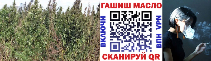 ОМГ ОМГ   где купить   Яблоновский  маркетплейс официальный сайт  Дистиллят ТГК жижа 